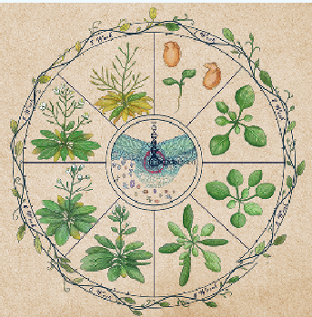 屏幕截圖 2025-07-08 155217.png